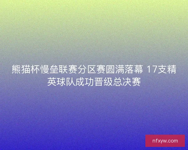 熊猫杯慢垒联赛分区赛圆满落幕 17支精英球队成功晋级总决赛